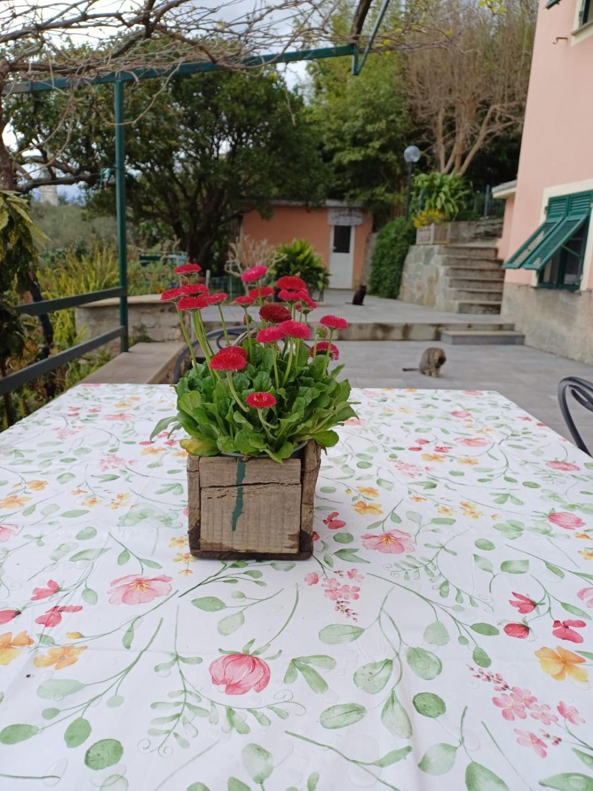 Villa Ca Du Stea à Lavagna Extérieur photo